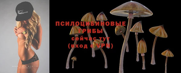 круглые Армянск