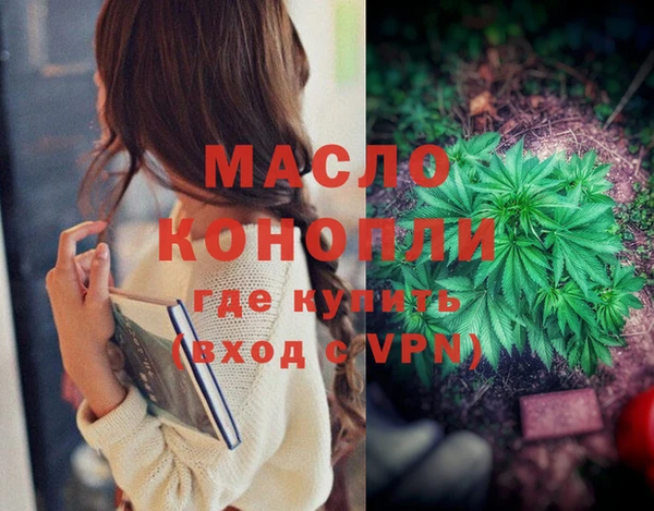 хмурый Арсеньев