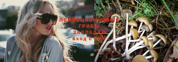 mdpv Аркадак