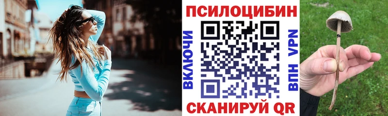 как найти   Старица  Псилоцибиновые грибы Magic Shrooms 