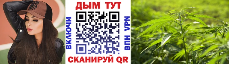 купить наркотики сайты  Старица  shop телеграм  Бошки марихуана сатива 